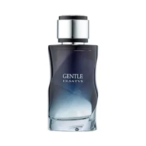 Perfume Reyane Tradition Gentle Elsatys - Eau de Parfum - Masculino - 100ML