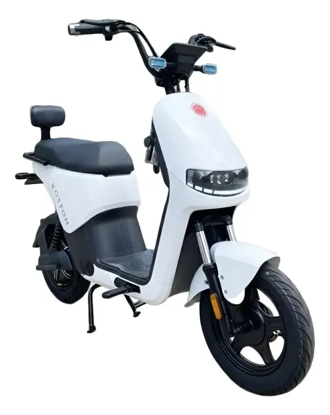 Bike Elétrica-Electrica Foston 1000 Watt Lithium X15